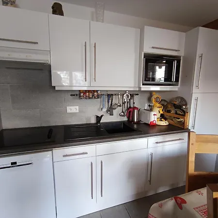 Confort 8 Pers, 2 Chambres, Terrasse Sud, Pied Des Pistes, Animaux Ok - Fr-1-445-174